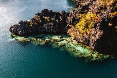 Filipinler koronuyla ikiz göl turkuvaz sularının hava görüntüsü. Yüksek kalite fotoğraf