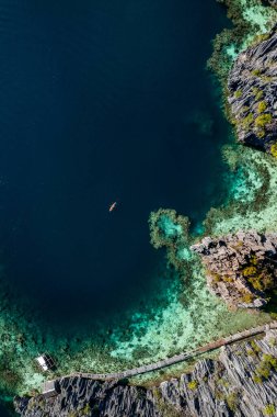 Filipinler koronuyla ikiz göl turkuvaz sularının hava görüntüsü. Yüksek kalite fotoğraf