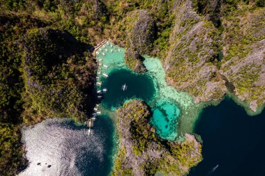 Filipinler koronuyla ikiz göl turkuvaz sularının hava görüntüsü. Yüksek kalite fotoğraf