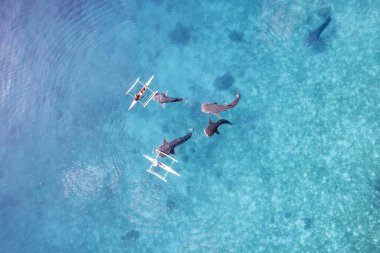 Okyanus insansız hava aracı 2022 'de yüzen balina avcıları Cebu Filipinler' de görülüyor. Yüksek kalite fotoğraf