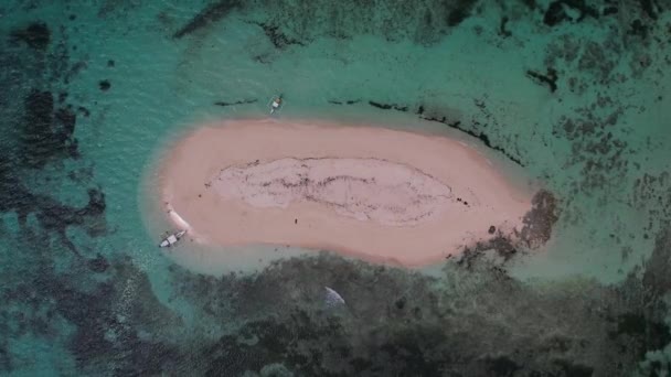 Філіппіни Різноманітні Джунглі Озеро Океан Човен Голі Острівні Пальмові Гойдалки — стокове відео