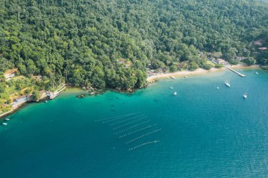 Büyük ada Ilha Grande Abraao plajı Angra dos Reis, Rio de Janeiro, Brezilya. San Antonio Sahili Praia San Antonio Lopes Mendes Plajı. 