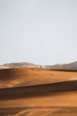 Sahra Çölü Merzouga Çölü 'nde yalnız yürüyen Fas' lı. Yüksek kalite fotoğraf