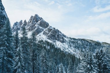 Panoramic View in the Dolomites South Tyrol Italy Tre Cime di Lavaredo. High quality photo