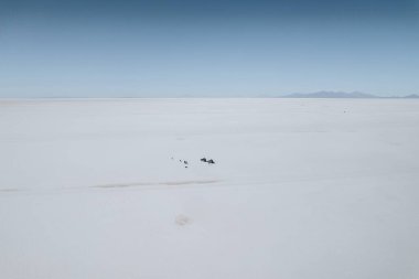 Drone Aerial Photo of Car and person Bolivia Salar de Uyuni Salt Flats. High quality photo