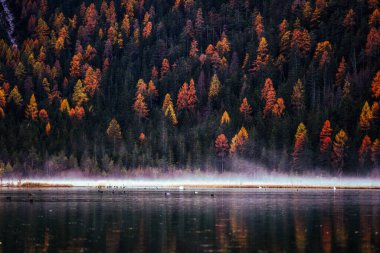 Toblacher See 'nin Sonbahar Sonbaharı Renkleri, Dolomitler İtalya' sında bir evi ve yansımaları olan Lago di Dobbiaco. Yüksek kalite fotoğraf