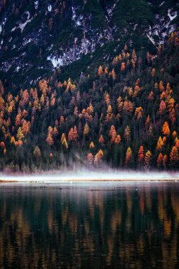 Toblacher See 'nin Sonbahar Sonbaharı Renkleri, Dolomitler İtalya' sında bir evi ve yansımaları olan Lago di Dobbiaco. Yüksek kalite fotoğraf