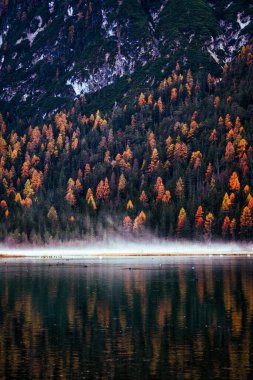 Autumn Fall colours of Toblacher See, Lago di Dobbiaco with a house and reflections in Dolomites Italy. High quality photo clipart