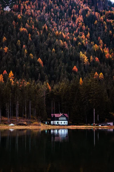 Automne Couleurs Automnales Toblacher See Lago Dobbiaco Avec Une Maison — Photo