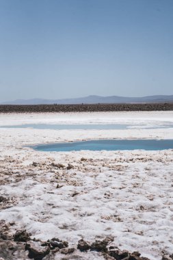 Şili 'deki San Pedro de Atacama' daki Kristal berrak su gölü ile Beauitful Salt Lagoon. Yüksek kalite fotoğraf