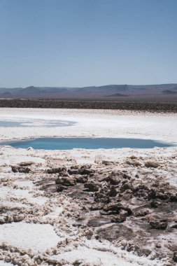 Şili 'deki San Pedro de Atacama' daki Kristal berrak su gölü ile Beauitful Salt Lagoon. Yüksek kalite fotoğraf