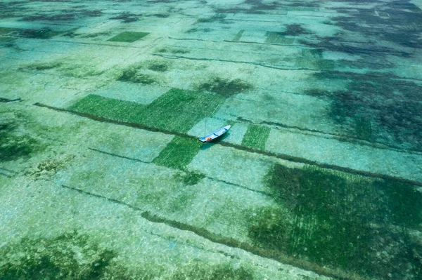 Аэродрон Фото Фермы Морских Водорослей Нуса Лембонган Ceningan Bali Indonesia — стоковое фото