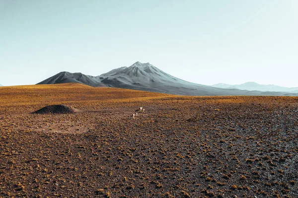 Αυτοκίνητο Μπροστά Από Ηφαιστειακά Βουνά Στο San Pedro Atacama Χιλή — Φωτογραφία Αρχείου
