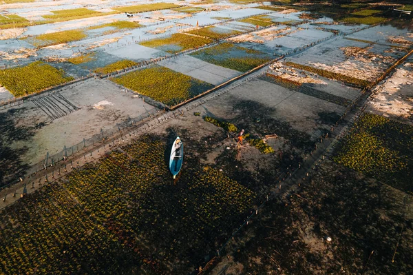 Foto Aérea Drones Granjas Algas Marinas Nusa Lembongan Ceningan Bali —  Fotos de Stock