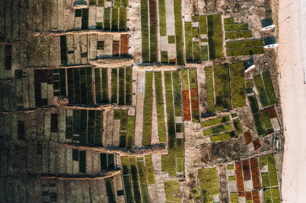 Luftaufnahme Von Algenfarmen Nusa Lembongan Ceningan Bali Indonesien Hochwertiges Foto — Stockfoto