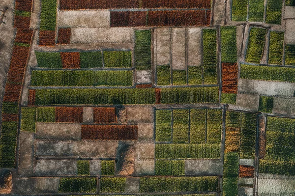 空中ドローンヌサレンボンガン センティナン インドネシアの海藻農場の写真 高品質の写真 — ストック写真
