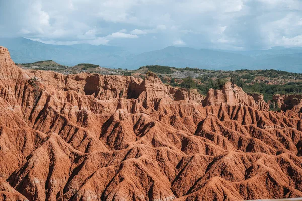 Tatacoa Çölü Kolombiya Villavieja 'daki aşırı iklim ve kaktüsler. Yüksek kalite fotoğraf