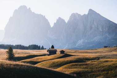 Gün doğumunda Alpe di Siusi 'nin göz kamaştırıcı manzarasında dağ kulübesi, Dolomitler, İtalya, Güney Tyrol, Seiser Alm. Yüksek kalite fotoğraf