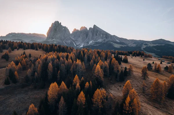 Drohnenbild Beim Sonnenaufgang Auf Der Seiser Alm Den Dolomiten Südtirol — Stockfoto