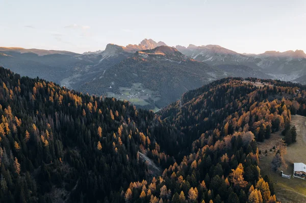 Drone Photo Alpe Siusi Sunrise Dolomites South Tyrol Italy Autumn — Stock Photo, Image