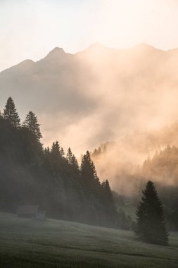 Geroldsee 'de Foggy Sunrise, Wagenbruchsee, Bavyera, Almanya, Avrupa. Yüksek kalite fotoğraf