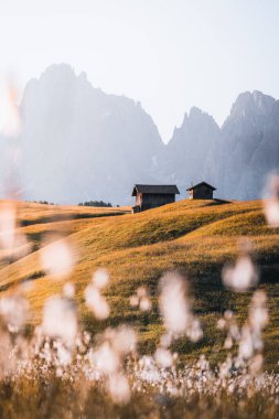 Gün doğumunda Alpe di Siusi 'nin göz kamaştırıcı manzarasında dağ kulübesi, Dolomitler, İtalya, Güney Tyrol, Seiser Alm. Yüksek kalite fotoğraf