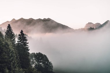 Geroldsee, Wagenbruchsee, Bavyera, Almanya 'daki dağların doğuşunu izleyin. Yüksek kalite fotoğraf