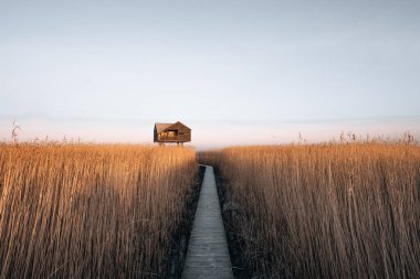 Hollanda 'daki Kiekkaaste Kuş Gözlemevi' nin Wadden Denizi 'ndeki gündoğumu fotoğrafı. Yüksek kalite fotoğraf