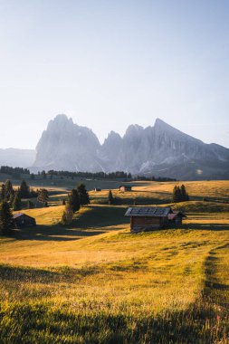 Gün doğumunda Alpe di Siusi, Seiser Alm ve Dolomitler 'in göz kamaştırıcı manzarası. Yüksek kalite fotoğraf