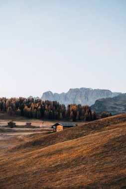 Dolomitler Güney Tyrol İtalya 'sında Alpe di Siusi' de sonbahar manzarası. Yüksek kalite fotoğraf
