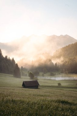 Geroldsee 'de Foggy Sunrise, Wagenbruchsee, Bavyera, Almanya, Avrupa. Yüksek kalite fotoğraf