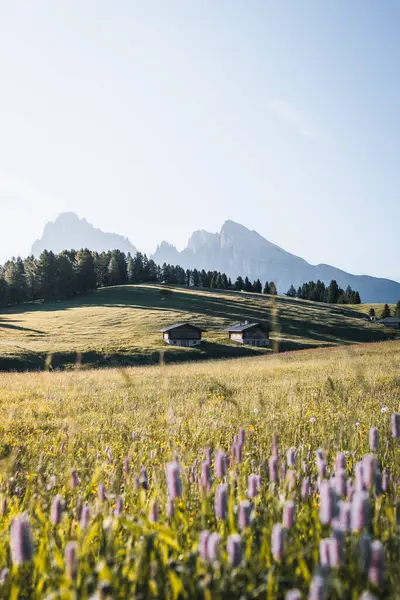 Hegyi Faház Lenyűgöző Táj Alpe Siusi Napkeltekor Dolomitok Olaszország Dél — Stock Fotó