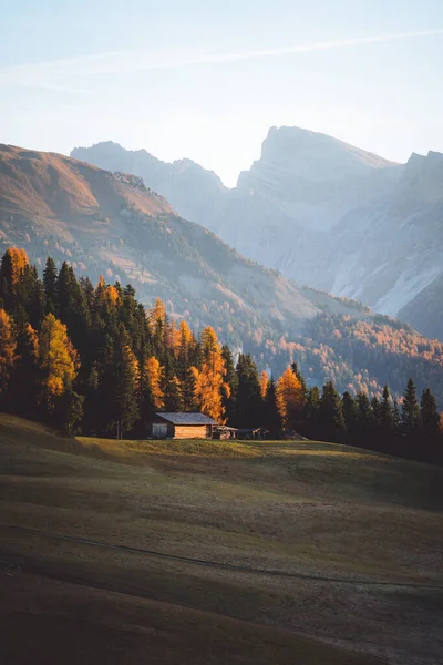 Peisaj Toamnă Alpe Siusi Răsărit Dolomiții Tirolul Sud Italia Fotografie — Fotografie, imagine de stoc