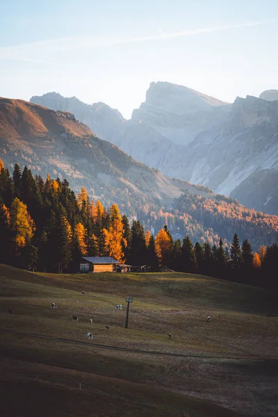 Őszi Táj Alpe Siusi Napfelkelte Dolomitok Dél Tirol Olaszország Kiváló — Stock Fotó