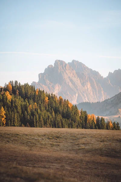 Herfst Landschap Alpe Siusi Zonsopgang Dolomieten Zuid Tirol Italië Hoge — Stockfoto