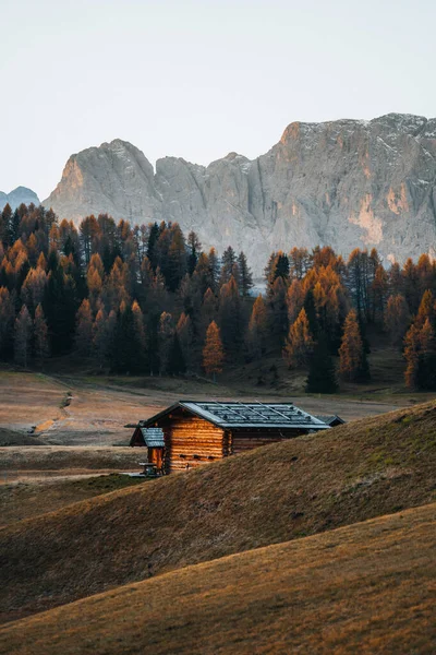 Autumn Landscape Alpe Siusi Sunrise Dolomites South Tyrol Italy High — Stock Photo, Image