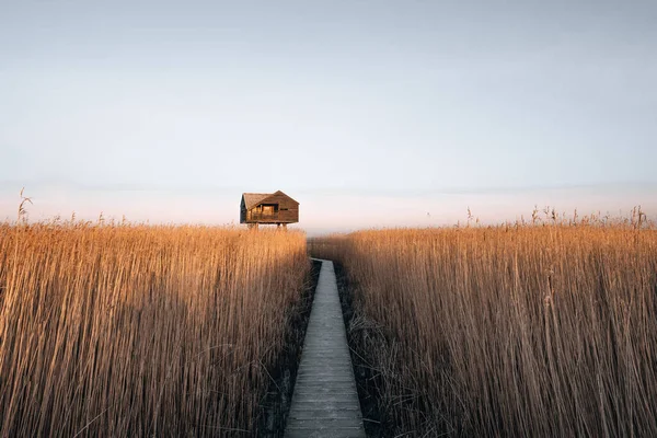 Hollanda 'daki Kiekkaaste Kuş Gözlemevi' nin Wadden Denizi 'ndeki gündoğumu fotoğrafı. Yüksek kalite fotoğraf