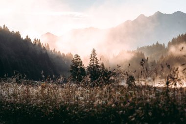 Geroldsee 'de Foggy Sunrise, Wagenbruchsee, Bavyera, Almanya, Avrupa. Yüksek kalite fotoğraf