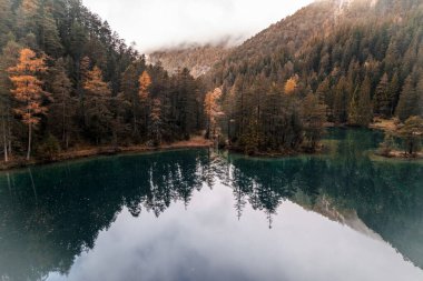 Sonbahar mevsiminde Avusturya 'daki Fernsteinsee Gölü' nün Moody Hava Fotoğrafı. Yüksek kalite fotoğraf