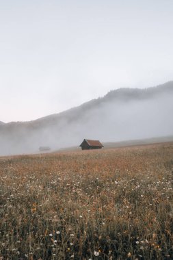 Geroldsee, Wagenbruchsee, Bavyera, Almanya 'da sisli gündoğumunda çayırlar. Yüksek kalite fotoğraf