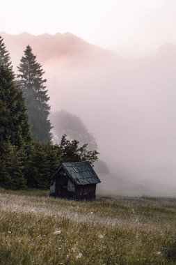 Geroldsee, Wagenbruchsee, Bavyera, Almanya 'da sisli gündoğumunda çayırlar. Yüksek kalite fotoğraf