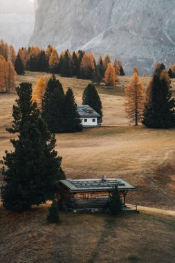 Dolomitler Güney Tyrol İtalya 'sında Alpe di Siusi' de sonbahar manzarası. Yüksek kalite fotoğraf