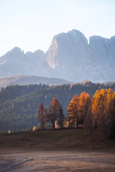 Paesaggio Autunnale All Alpe Siusi Alba Nelle Dolomiti Alto Adige — Foto Stock