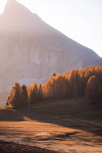 Outono Paisagem Alpe Siusi Nascer Sol Nas Dolomitas Sul Tirol — Fotografia de Stock