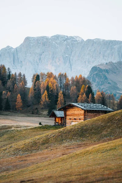 位于意大利南蒂罗尔的多洛美特山脉的Alpe Siusi日出的秋天风景 高质量的照片 — 图库照片