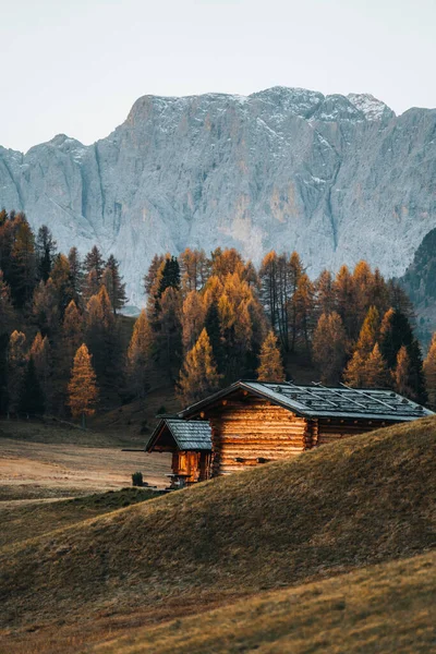 Paisaje Otoñal Alpe Siusi Amanecer Los Dolomitas Tirol Del Sur — Foto de Stock