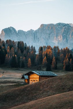 Dolomitler Güney Tyrol İtalya 'sında Alpe di Siusi' de sonbahar manzarası. Yüksek kalite fotoğraf