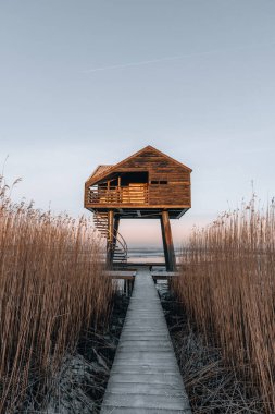 Hollanda 'daki Kiekkaaste Kuş Gözlemevi' nin Wadden Denizi 'ndeki gündoğumu fotoğrafı. Yüksek kalite fotoğraf