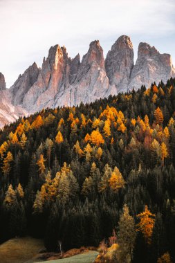 Autumn 'daki dağ manzarası, St. Magdalena Güney Tyrol, Dolomitler İtalya. Yüksek kalite fotoğraf