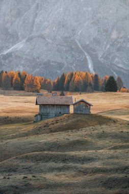 Gün doğumunda Alpe di Siusi 'nin göz kamaştırıcı manzarasında dağ kulübesi, Dolomitler, İtalya, Güney Tyrol, Seiser Alm. Yüksek kalite fotoğraf